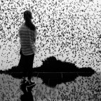 Weekend Snapshot — Starling Storm