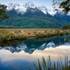 The Wednesday Wonder — Mirror Lake Magic