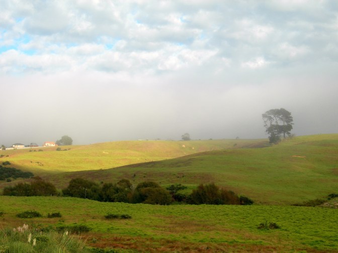 Misty morning on the green hills of Long Bay, 10 years ago