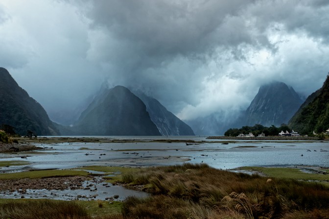 I was driven away by the rain. Otherwise I would have stayed till dark