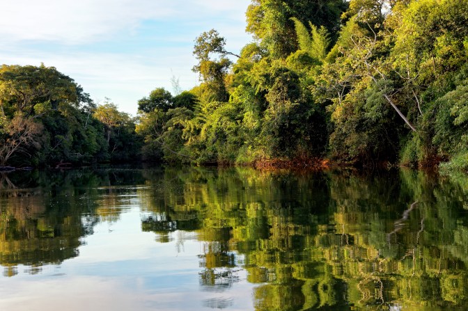 Took a canoe trip on the Iguazu river