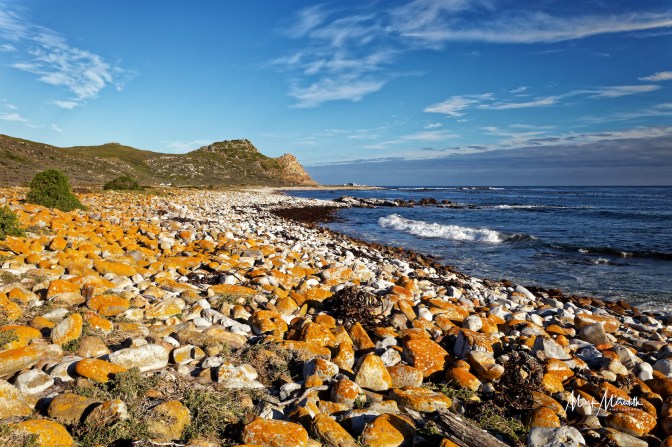Cape of Good Hope, Cape Point, Table Mountain National Park