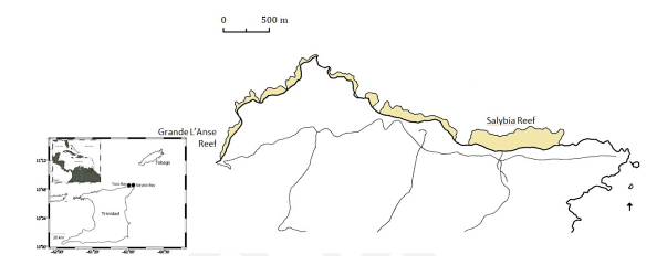 Screenshot 2019-05-14 at 2.01.59 PM (1)