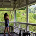 The Fall of Asa Wright